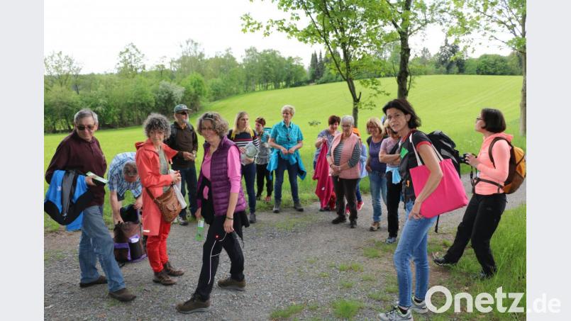 Erlebnispädagogin Isabella Bärmoser-Alker (Zweite von rechts) zeigte Naturliebhabern Möglichkeiten eines besonderen Wald- und Erlebnistages auf. Bild: bsc