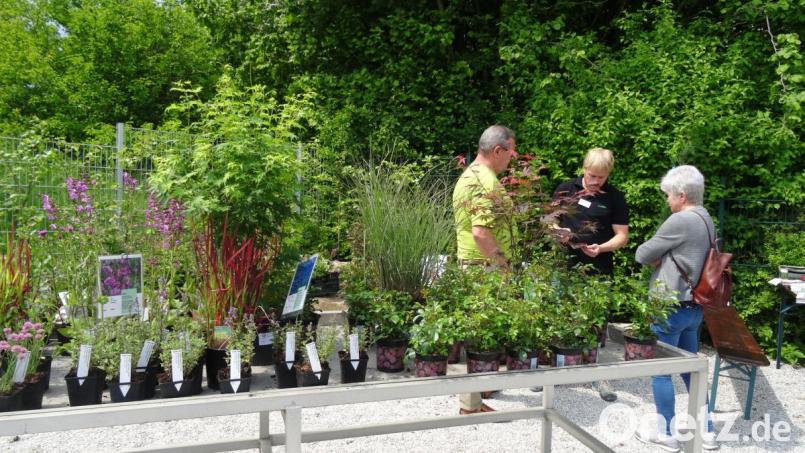 Jura-Grün bot Blumen und Pflanzen zum Verkauf an. Bild: hka