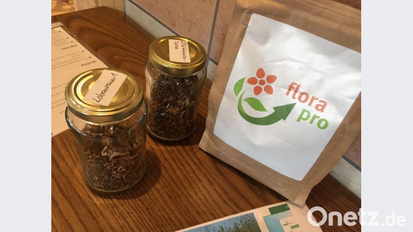 Herbert Fleischmann hatte auch Proben seiner Saatmischung dabei. Bild: Unger, Heike