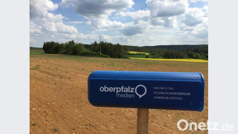 Die Oberpfalz-Medien/Amberger Zeitung haben auch ein Stück Blühwiese gepachtet. Und einen Briefkasten aufgestellt: Hier können die anderen Paten Nachrichten hinterlassen. Die Redaktion schaut regelmäßig vorbei. Bild: Unger, Heike