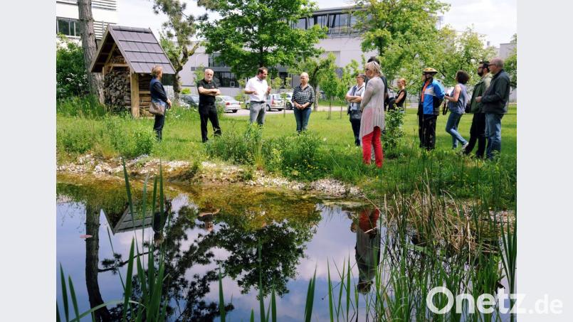 Klaus Herdegen (Dritter von links) erklärt beim Tag der offenen Tür die naturbelassene Streuobstwiese und den Gartenteich. Dieses Gelände kommt mit weniger Pflegeaufwand aus als eine sterile Fläche. Bild: gf