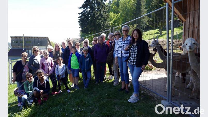 Birgit Moritz (rechts) zeigt den Damen der Grafenwöhrer Frauenunion die Alpakafarm in Reinhardsrieth. Anita Stauber (Zweite von rechts) bedankt sich bei ihr für den informativen Nachmittag. Bild: mor