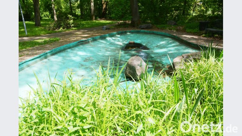 Herausgebrochene Pflastersteine und Verschmutzungen am Beckenboden sind Grund für den Wasserablass im Becken. Bild: Gabi Schönberger