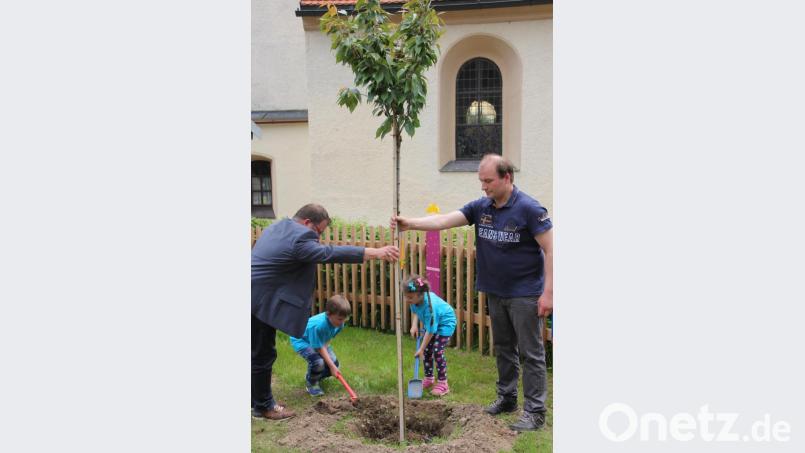Zwei Väter pflanzten mit ihren Kindern eine japanische Kirschblüte. Bild: kro