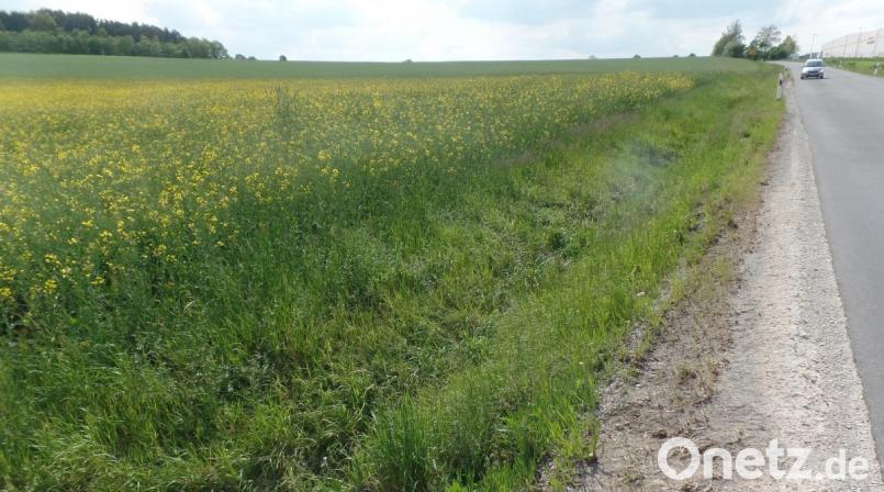 Um rund fünf Hektar (links im Bild) wird das bisher geplante Industrie- und Gewerbegebiet „Kemnath West III“ erweitert. Der zusätzliche Planungsbereich befindet südlich der Hammergrabenstraße (rechts) ab dem „Hegele-Kreisel“ in Richtung Fortschau. Bild: br