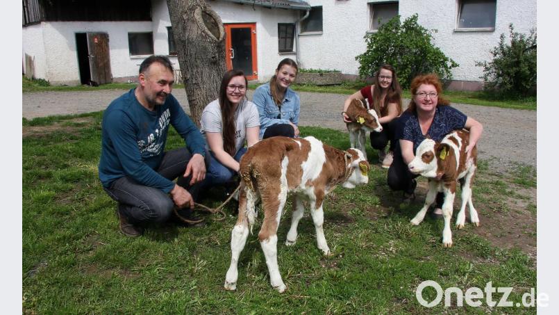 Die drei Kälbergeschwister sind wohlauf. Gut geht es auch "Cool", die nach rund neun Monaten Tragezeit überraschend mehrfache Mutter geworden ist. Auf die Familie Maierhöfer wartet aber jetzt viel Arbeit. Im Bild (von links) Erwin Maierhöfer, Tochter Luisa und Nichte Antonia. Rechts daneben: Elena und Gabi Maierhöfer, die jetzt zu Zieheltern geworden sind. Bild: wro