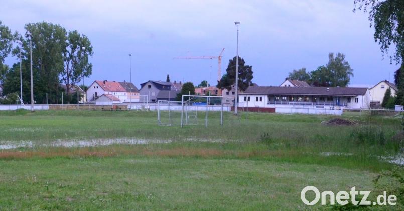 Michael Kurz will den Sportpark der SpVgg SV Weiden loswerden. Bild: Kunz