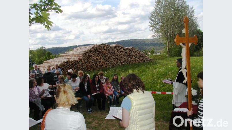 Unter großer Beteiligung fand die gemeinsame Maiandacht der Pfarreiengemeinschaft Brand-Nagel auf dem Hainberg statt. Pater Joy freute sich sichtlich über den überaus guten Besuch. Bild: ld