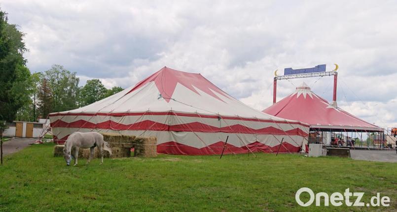 Auf dem Festplatz in Tirschenreuth hat &quot;Circus Afrika&quot; seine Zelte aufgeschlagen. Die erste Vorstellung gibt es am Vatertag. Für alle Väter gibt es freien Eintritt. Bild: lue