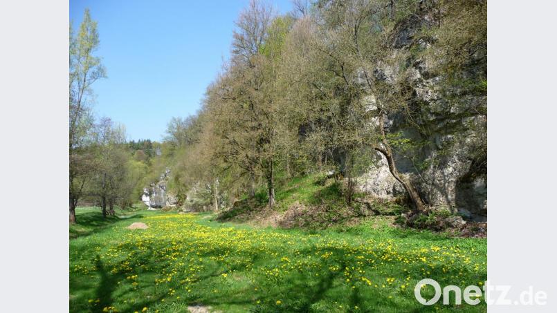 Das Pürschläger Tal, ein landschaftliches Juwel, sowohl botanisch als auch geologisch bedeutend, hätte Gemeinderat Horst Buhl gerne noch attraktiver gemacht. Für seinen Antrag fand sich im Gemeinderat jedoch keine Mehrheit. Bild: e