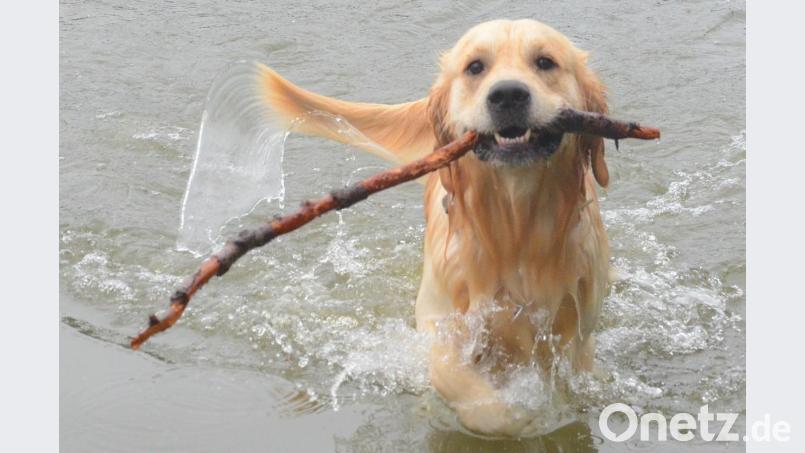 Symbolbild Bild: Kunz