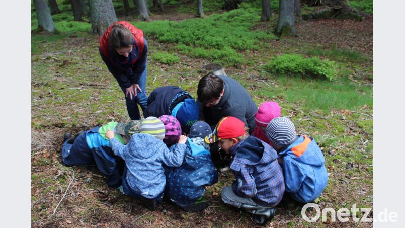 Die Kinder entdecken eine Spinne. Jeder möchte einen Blick erhaschen. Bild: Susanne Forster