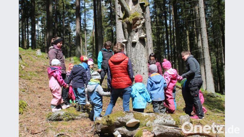 Beim Abschlusskreis nehmen sich die Kinder an die Hände und erzählen von ihren Erlebnissen des Vormittags. Bild: Susanne Forster