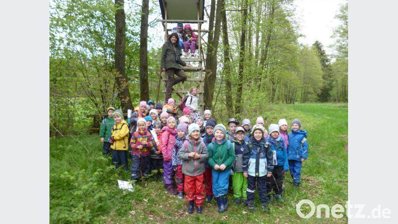 Waldwoche Bild: exb