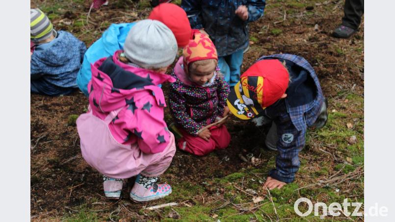 Kleine Entdecker erkunden den Waldboden. Bild: Susanne Forster