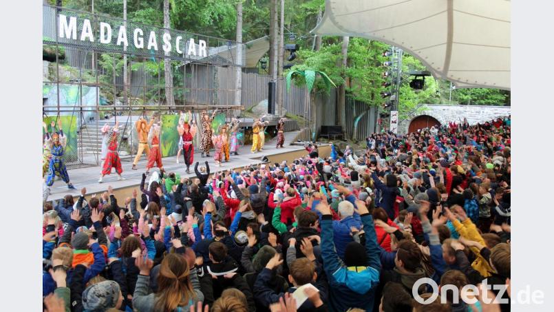 „I like to move it!“ und „Musst du wackeln mit die Hufte“: Der Aufforderung von King Julien Lemur wollte sich bei der Premiere von „Madagascar” bei den Luisenburg-Festspielen niemand im Publikum widersetzen. Bild: Holger Stiegler