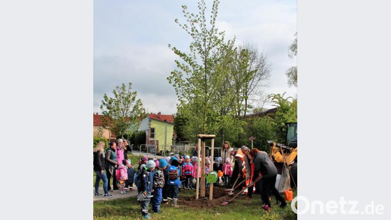 Bis zum Kreisjugend- und Familientag am 6. Juli sind es noch einige Wochen, der dazugehörige Baum steht bereits an der Seeleite. Bild: stg