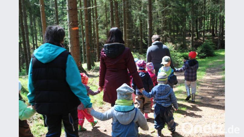 Nach einer aufregenden Entdeckertour geht es zurück zur Blockhütte. Bild: Susanne Forster