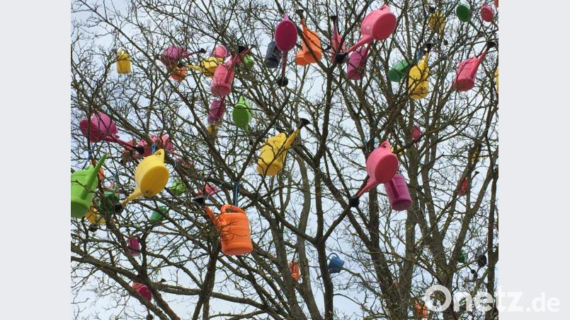 Der Schmidmühlener Gießkannenbaum. Bild: Unger, Heike