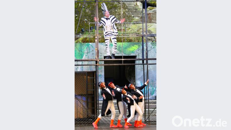 Stimmungsmacher und begnadete tanzende Sänger sind die vier Pinguine. Bild: Holger Stiegler