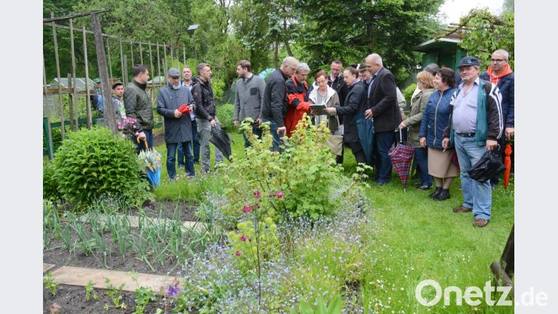 Zwölf Gartenbesitzer in unmittelbarer Nähe zum Wittgarten-Durchstich haben Angst um &quot;ein Stück Freiheit&quot;. Die CSU schaute sich vor Ort um. Sprecherin Lissy Prögel (Mitte) ist dort seit 45 Jahre zu Hause. Bild: Gabi Schönberger