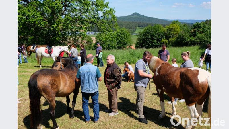 Pferd und Mensch vereint beim Sternritt. Bild: do