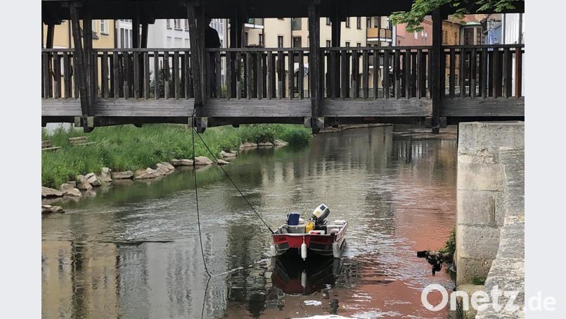 Parken auf der Vils in Amberg. Bild: Alexander Unger