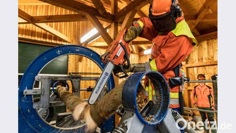 Antonio Straßer von der Feuerwehr Fichtelberg durchtrennt im Rahmen des Trainings am Spannungssimulator beim Forstbetrieb Fichtelberg kontrolliert einen gespannten Baumstamm. Bild: exb