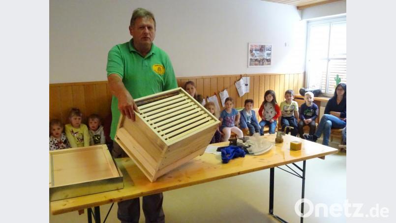 Aus erster Hand informierte der Vorsitzende des Imkervereins, Klaus Schmidt, die Buben und Mädchen des Kunterbunt-Kindergartens über die allgemeine Bienenzucht. Bild: njn