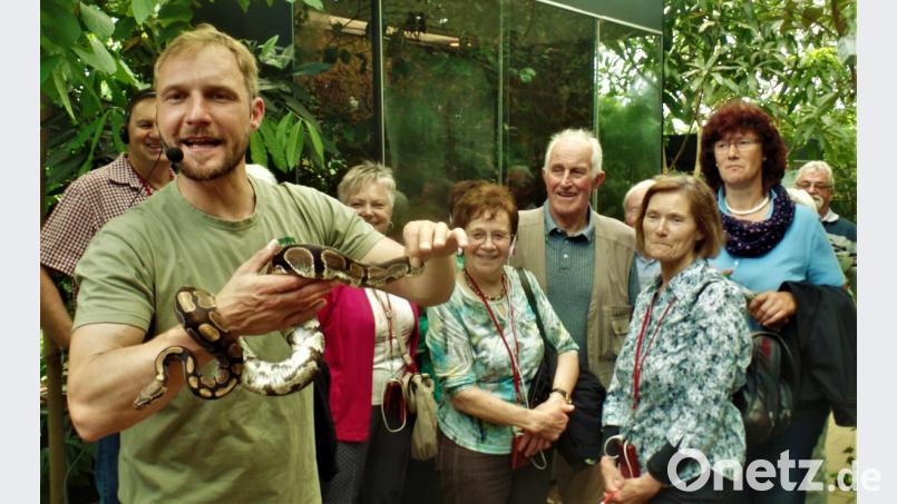 Welche Dame möchte sich denn so ein anschmiegsames Tierchen nicht mal um den Hals legen? Die Bereitschaft dazu war sparsam bei den OWV-Ausflüglern. Bild: jml