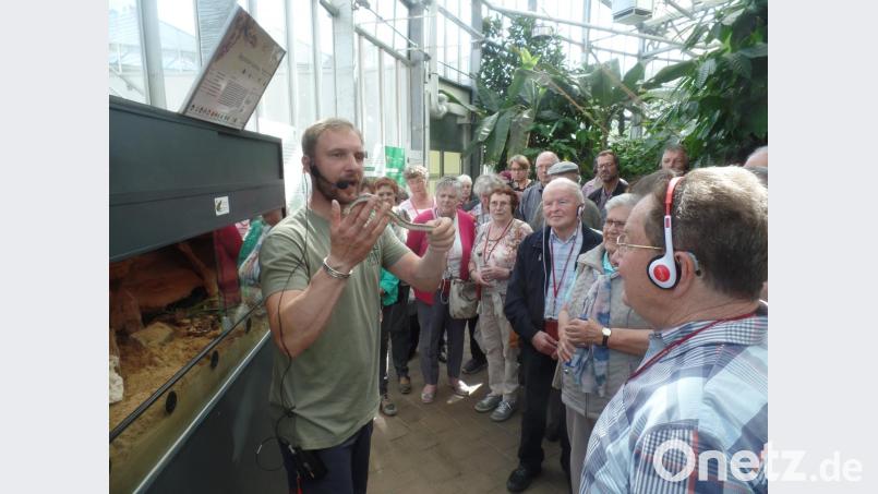 Welche Dame möchte sich denn so ein anschmiegsames Tierchen nicht mal um den Hals legen? Die Bereitschaft dazu war sparsam bei den OWV-Ausflüglern. Bild: jml