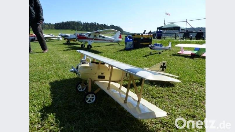 Auf dem Modellflugplatz bei Perschen starteten 46 „Maschinen“. Bild: exb