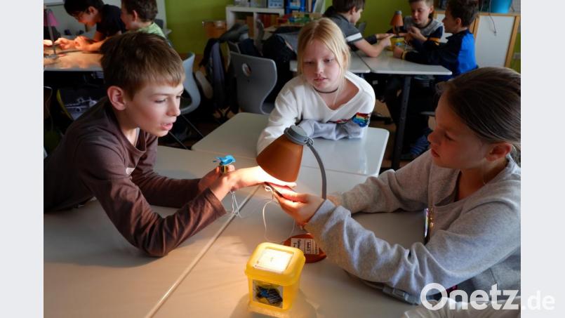 Die Grundschüler erlebten Klimaschutz hautnah. Bild: exb