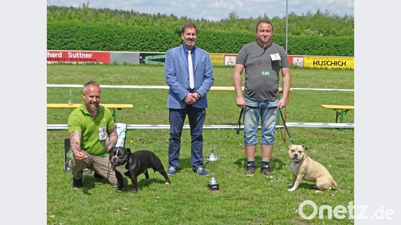 Wertungsrichter Mr. Markov Damir aus Serbien (Mitte) gratuliert den Siegern der „Summer Show Exotic Bulldog“, Züchter Peter Kick mit „Stonebull Batman“ (links) sowie Martin Neuber mit „Stonebull Mystique“. Bild: Dobmeier
