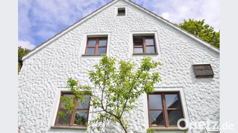 Mit einem Fledermauskasten an seiner Hauswand lieferte Toni Wolf einen nicht alltäglichen Beitrag für den Erhalt der Artenvielfalt Bild: es
