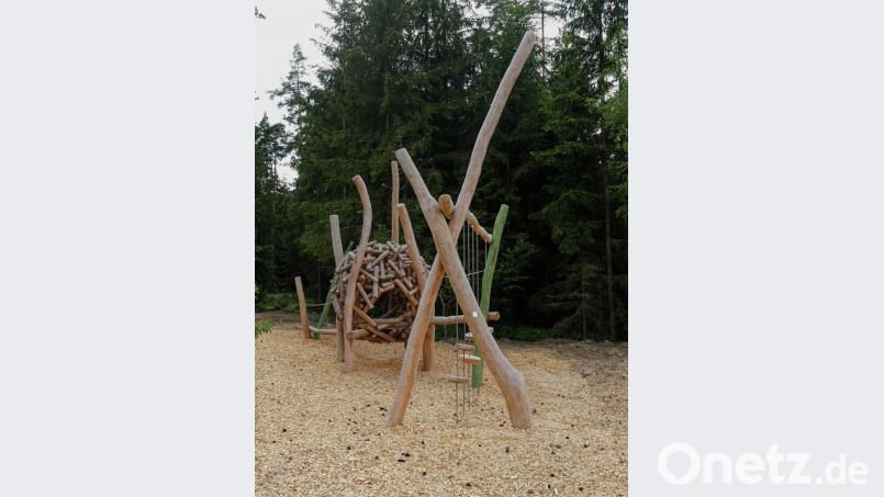 Der Geschicklichkeits-Parcours endet in einer Kugel aus Holz. Bild: tr