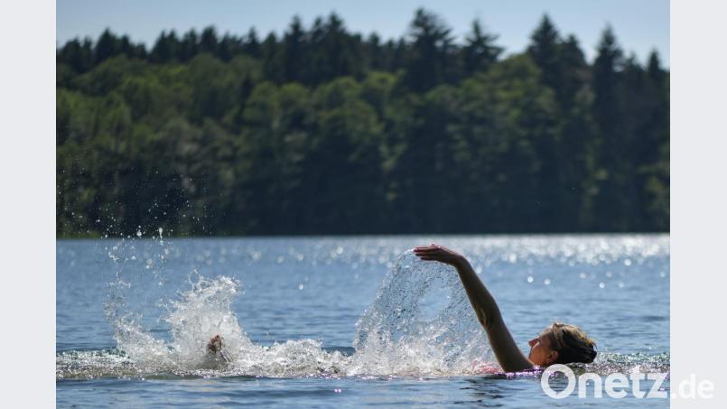 Eine Frau schwimmt im See. Bild: Patrick Pleul