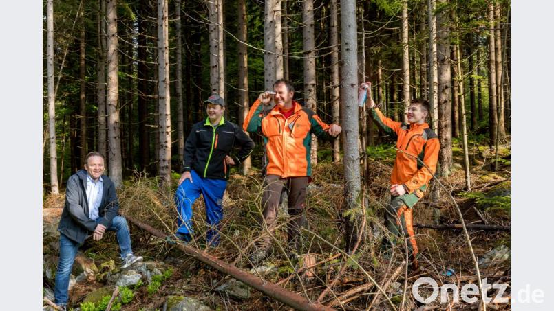 Beratungslehrer Kay Tauscher von der Sigmund-Wann-Realschule in Wunsiedel besucht seinen Schüler Florian Völkl, der im Rahmen des sozialen Tages ein Praktikum am Forstbetrieb Fichtelberg absolviert. Betreut wurde er bei den Bayerischen Staatsforsten von Ausbilder Ewald Vogel und Azubi Christian Schneider (v.l.n.r.) Bild: exb