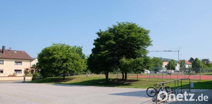 Zwischen Busparkplatz (in Vordergrund) und der Schul-Sportplatz soll die Parkour-Anlage entstehen. Bild: mab