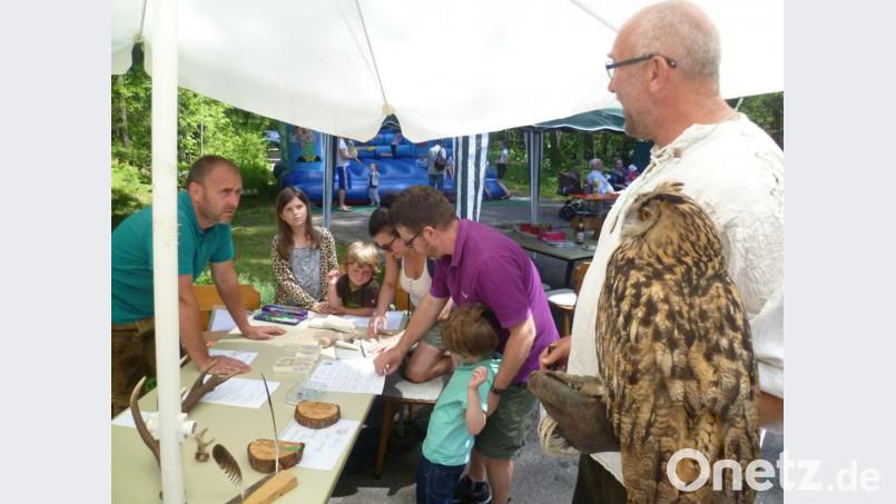 Federn, Fährten von Tieren oder das Alter von Baumscheiben zu bestimmen, das machte die Kinder-Pirsch richtig spannend. Und der Uhu auf der Hand von Hans Weiß verfolgte das Ganze mit stoischer Ruhe. Bild: usc