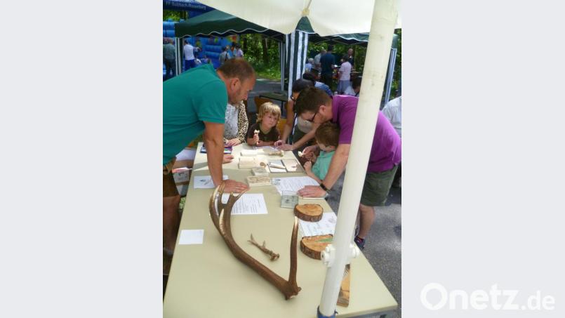 Zum Erwerb eines Jäger-Diploms galt es nicht nur ausgestopfte Tiere im angrenzenden Wald zu entdecken, sondern auch einen Wissentest zu bestehen. Bild: usc