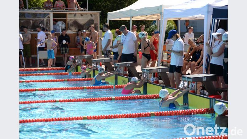 Am Startblock festhaltend warten die Rückenschwimmer auf den Startschuss. Bild: Schürfeld