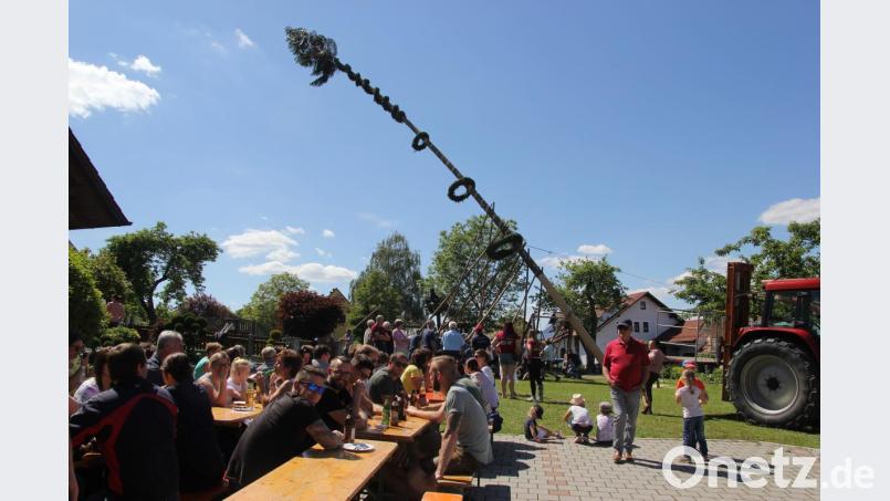 Mit dem Baum aufstellen fing die Kirchweih an Christi Himmelfahrt an. Bild: ral