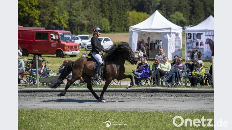 Nicht nur Tölt an der Spitze der Bayerischen Reiter: Die Teilnehmer des Lipperthofs in Wurz holen sich nahezu alle Titel beim Turnier in der Nähe von Erding. Bild: Christian Müllner