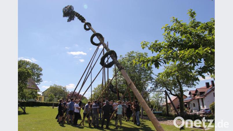 Mit vereinten Kräften brachten die Kirwaburschen mit den Helfern aus den Ort den mächtigen Baum nach oben. Bild: ral