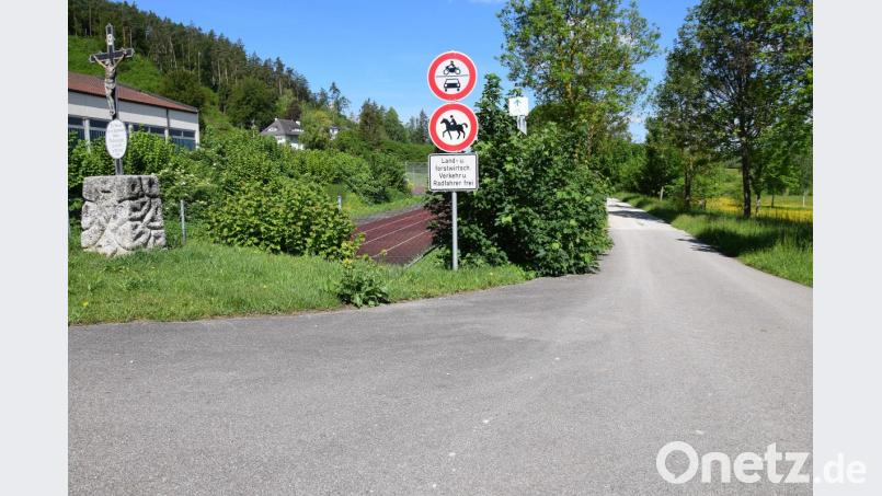 Etwa eine Million Euro wird der Ausbau des Radweges von Schmidmühlen bis zur Schwarzmühle kosten. Geplant ist der Ausbau in Zusammenarbeit mit dem Straßenbauamt Amberg-Sulzbach im nächsten Jahr. Bild: bö