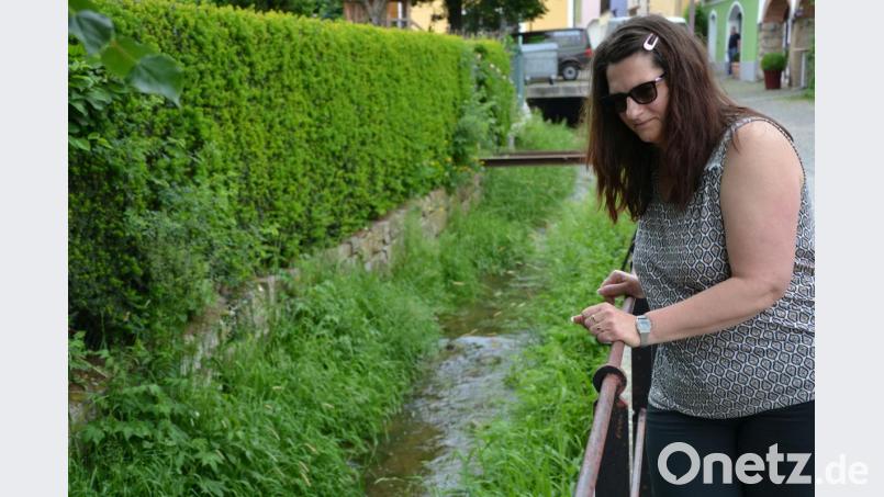 Martina Käck macht sich Sorgen um den Stadtbach. Bild: Lowak