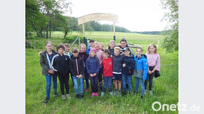 Begeistert machen die Kinder beim Projekt &quot;Schulwald&quot; der Grundschule Winklarn-Thanstein&quot; mit. Bild: amö