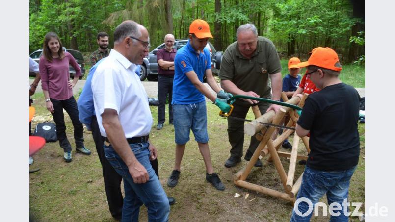 Mit Augenmaß versuchen die Schüler, von einem Stamm eine Holzscheibe mit einem Pfund Gewicht abzusägen. Hinterher wird gewogen. Bild: fz