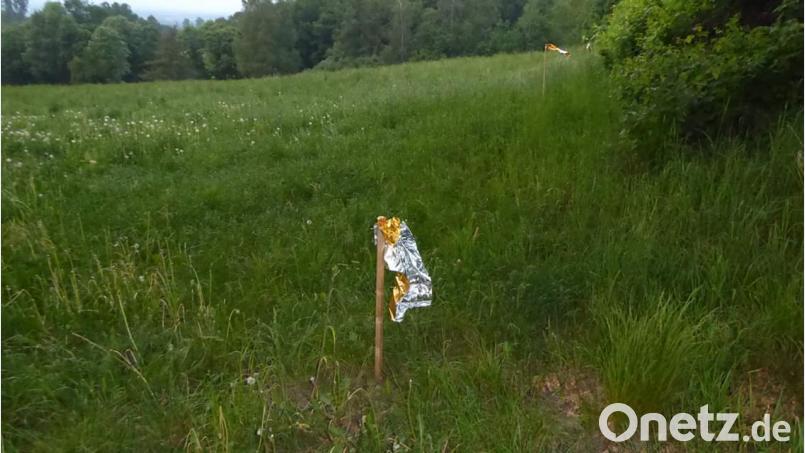 Beispielsweise raschelnde Folie kann Rehe vom Feld fernhalten. Bild: exb/ Nuria Schiller